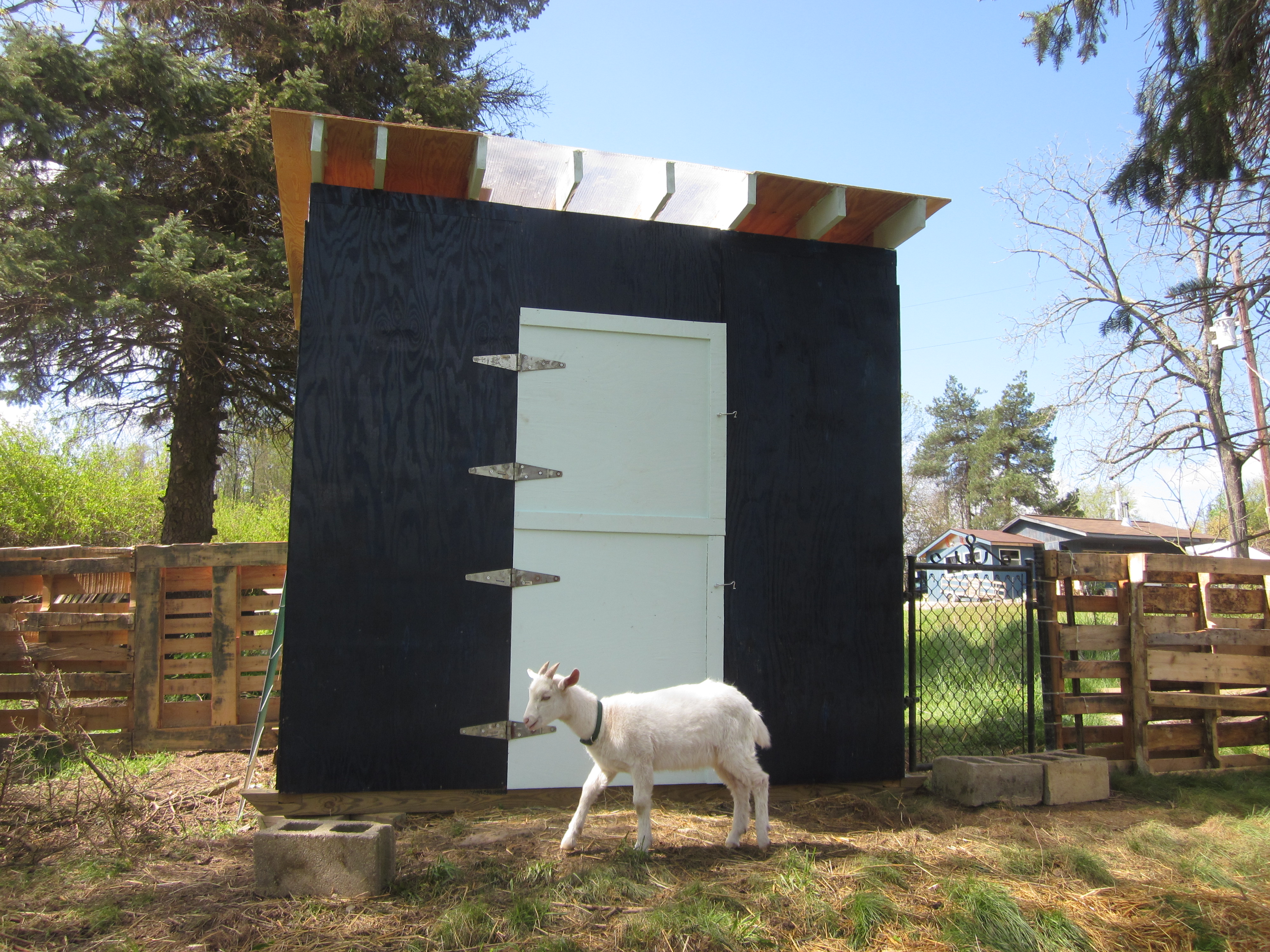 The goat skid barn