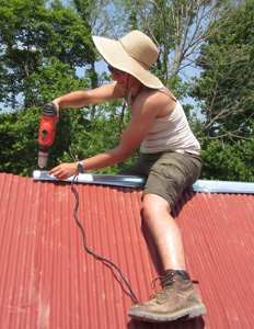 Persa working on the roof of the llama shed